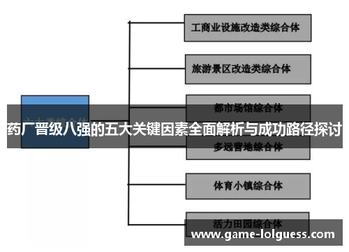 药厂晋级八强的五大关键因素全面解析与成功路径探讨