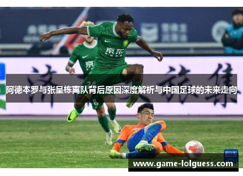 阿德本罗与张呈栋离队背后原因深度解析与中国足球的未来走向